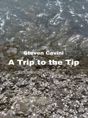 cover image of A Trip to the Tip